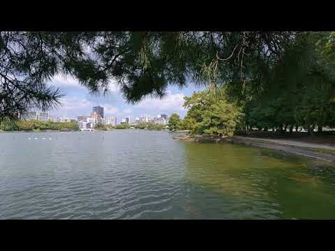 Walk Around Ohori Park in Fukuoka, Japan