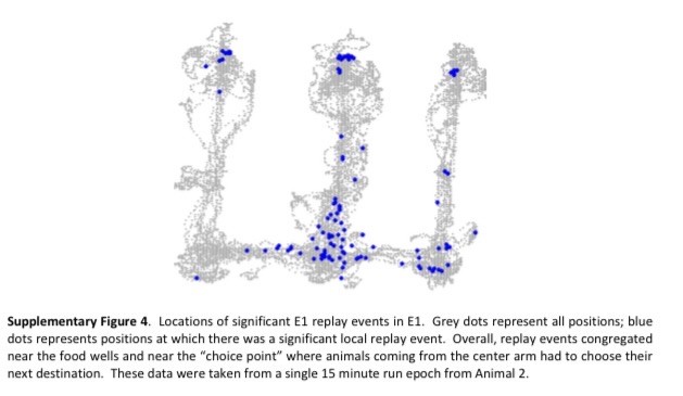 I will add the alt text when Iām at my computer!