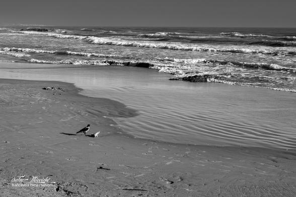 Solitude