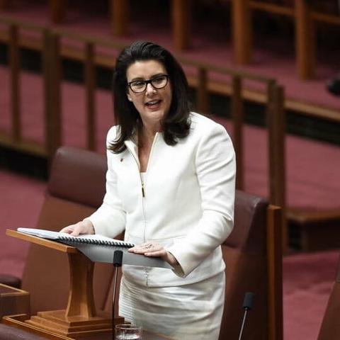 Photo of Senator Jane Hume in parliament.