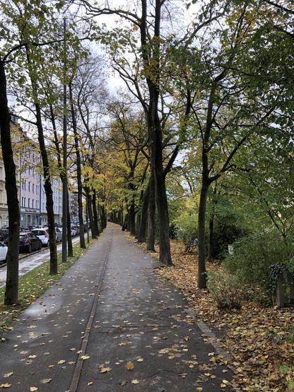 Eine Allee an der Isar in herbstlichen Farben. Links sieht man noch eine säumende Häuserzeile mit parkenden Autos. Laub auf Rad- und Fußgängerweg. Manche Bäume sind schon recht kahl. Andere hingegen tragen noch Grün.