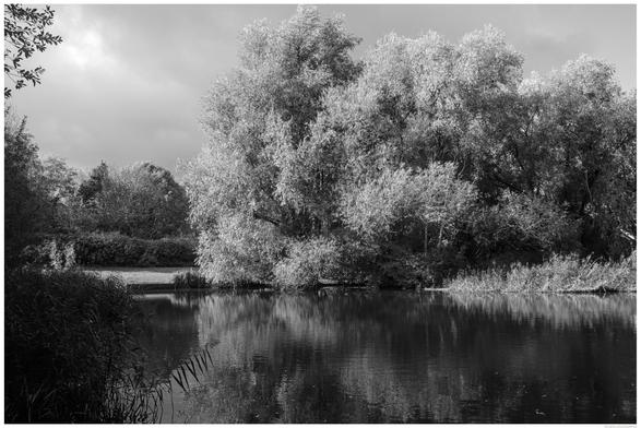 A black and white photograph of a pond. The picture has a high contrast, almost Infra-Red quality, as a red filter was used.
Also, the day was sunny but there were stormy clouds sweeping in, altering the lighting between bright sunshine and being overcast.
The foreground is of dark waters with some reeds.  There is a break-out at the lower left of frame, to a small grassland area. The backdrop is a mix of overall cloudy sky trees at varying heights across the frame from the water up toward top the image.