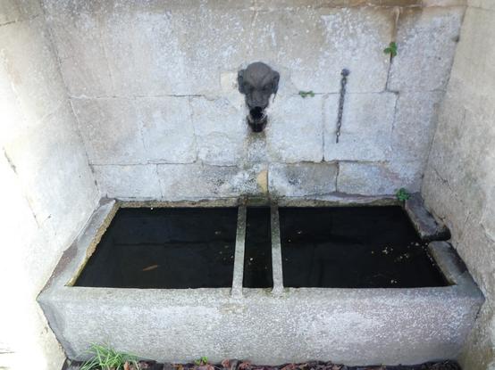 A pump & trough, with flash of gold on the left-hand side