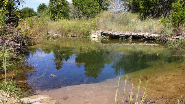 West Verde Creek in&nbsp;&nbsp;Hill Country State Natural Area&nbsp;&nbsp;in Bandera County, Texas, United States. Photo taken Oct. 14, 2023. Wikimedia Commons/&nbsp;Larry D. Moore&nbsp;, &nbsp;CC BY 4.0.