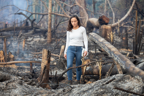 Una mujer anda entre los restos de un bosque calcinado, mirando al suelo