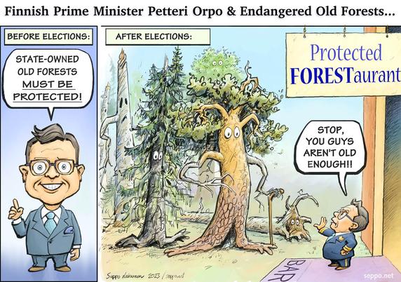 Finnish Prime Minister Petteri Orpo & Endangered Old Forests...