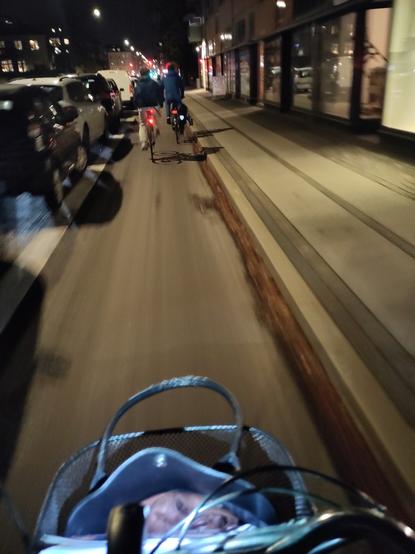 View from a moving bike along a bike path in Copenhagen