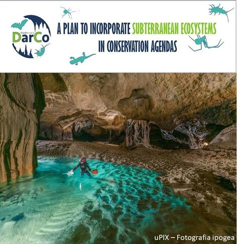 Illustrative picture of a person sampling freshwater in a huge cavity inside a cave, potentially looking for stygofauna. Top bar reads: "DarCo: A plan to incorporate subterranean ecosystems in conservation agendas". Picture source: uPIX - Fotografia ipogea