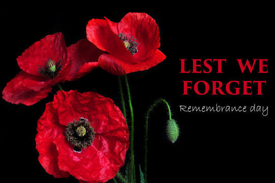 Lest we forget