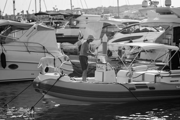 boat, man and dog