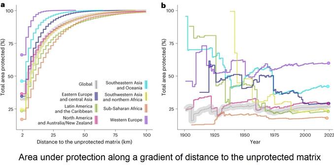 graphic - Area under protection along a gradient of distance to the unprotected matrix