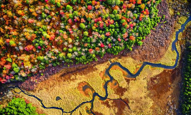aerial image - forest - hydrology - agricultural encroachment