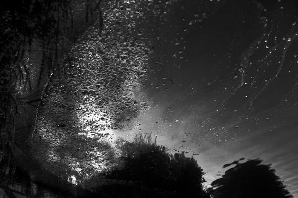 An abstract photograph that looks like the night sky with the top of the tree line in silhouette.