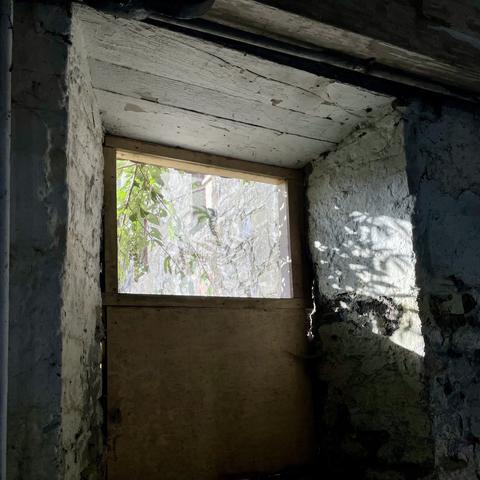 Deep set half boarded window casts shadows of external foliage on the the whitewashed stone wall inside.