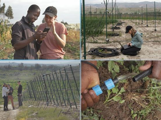 photo montage - drip irrigation systems consulting