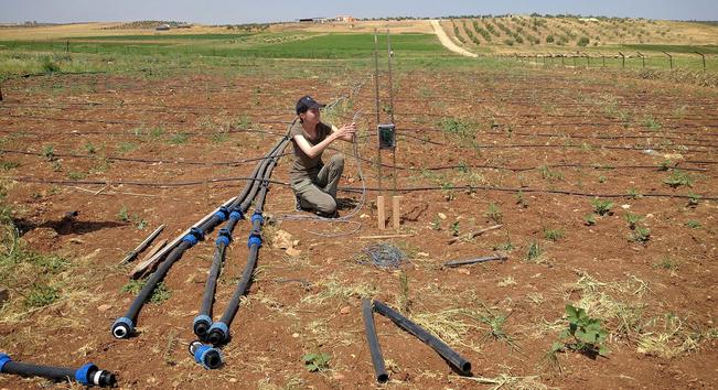 photo - drip irrigation test install in a field