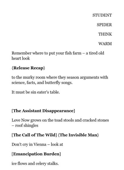 ***Words in brackets are the additional cut-up text placed between the lines of the rest of the prose poem.***

STUDENT

SPIDER

THINK

WARM

Remember where to put your fish farm – a tired old heart look

{Release Recap}

to the murky room where they season arguments with science, facts, and butterfly songs.

It must be sin eater’s table.

 

[The Assistant Disappearance]

Love Now grows on the toad stools and cracked stones – roof shingles

[The Call of The Wild] {The Invisible Man}

Don’t cry in Vienna – look at

[Emancipation Burden]

ice flows and celery stalks.