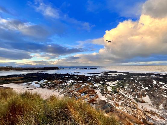 Looking over coastal grasses in rich, autumn, colours, sand and rich coloured rocks - towards the blue grey sea and moody, blue, orange toned skies.