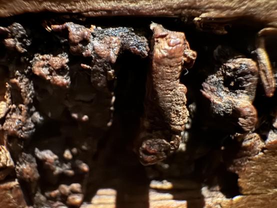 This is a mysterious object which I won’t describe here, sorry. The thing is, if I were to describe it then I would provide the solution to the question.