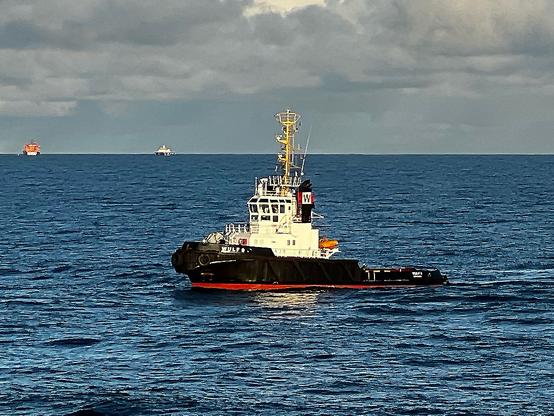 Schlepper Wulf 9.