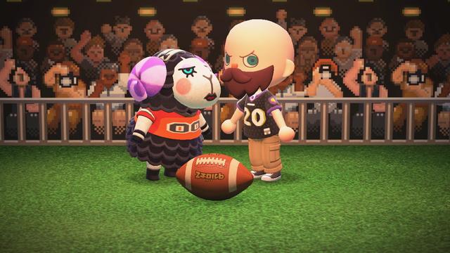 Animal Crossing: New Horizons screenshot. Image set with people cheering and cameras flashing in the background while standing on grass. Muffy (black sheep with a white face and purple striped horns) is wearing an orange football jersey looking angry. A light skinned, bald, blue-eyed human is wearing a thick, bushy beard and a custom black football jersey meant to look like a Baltimore Ravens jersey. He is also looking intensely angry. In front of them on the ground is a football.