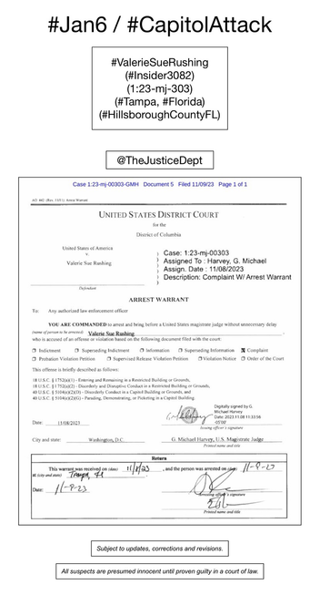 Screenshot of arrest warrant for Valerie Sue Rushing (Tampa, Florida).