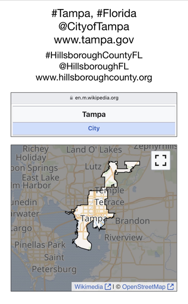 Screenshot of map showing location of Tampa, Florida (from Wikipedia).