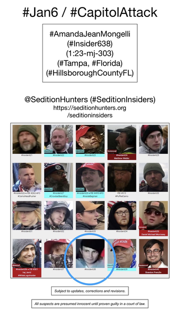 Photos of January 6th riot suspects who were observed inside the US Capitol Building, including Amanda Jean Mongelli (Tampa, Florida).