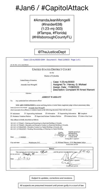 Screenshot of arrest warrant for January 6th riot suspect Amanda Jean Mongelli (Tampa, Florida).