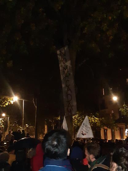 Banderole No Macadam accrochée à un platane