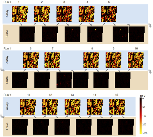 Calendar heatmaps showing repeated application of a lectin cocktail on a single CFG glycan microarray slide which can be reused up to 15 times using the MAWE cleaning process.