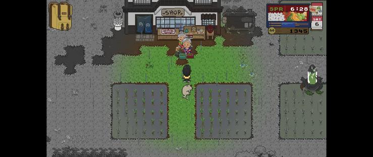 Miko and Amelia doing some work on the ground.

A little below is me and my flying spirit cat