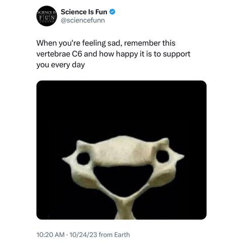 Screenshot of a tweet by SCIENCE IS
Science Is Fun 
@sciencefunn: 

When you're feeling sad, remember this vertebrae C6 and how happy it is to support you every day 

[photo of a vertebrae bone looking like a smiling face] 
 
10:20 AM • 10/24/23 from Earth