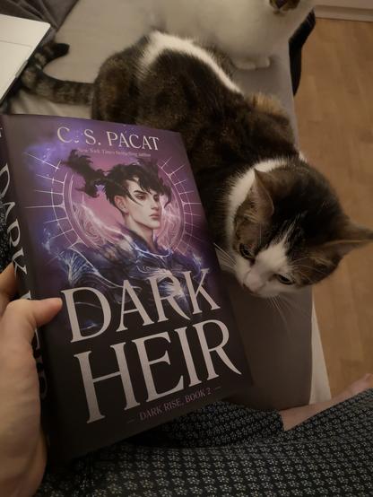 Eine Hardcover-Ausgabe des Romans 'Dark Heir' wird von einer Hand gehalten, während eine getigerte Katze daran schnuppert.