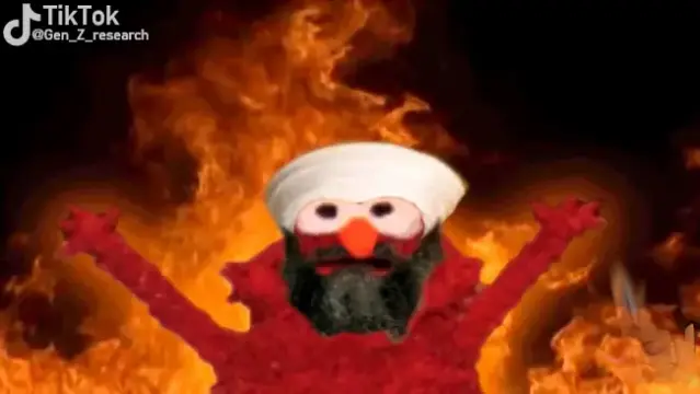 elmo rise meme
shows muppetshows elmo rising his hands upwards in front of a fire
elmo wars bin ladens hat and beard

upper left has a tiktok logo and a made up username watermark: @Gen_Z_research