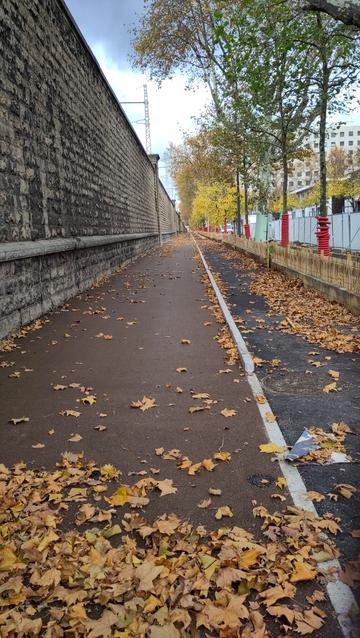 Photo d'une piste marron le long d'un long mur et bordée par un chemin piéton noir.
On voit des aménagements au pied des arbres.