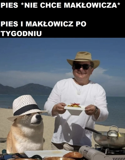 Pies: *nie chce Makłowicza*
Pies i Makłowicz po tygodniu:
Plaża. Uśmiechnięty Robert Makłowicz w białej koszuli, kapelutku i okularach przeciwsłonecznych trzyma w dłoniach jakieś fajne danie. Obok fajny piesek, też w kapelutku.