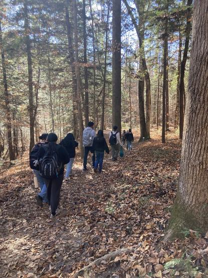 Group of about a dozen teenagers hiking through the woods, the ground covered in leaves and the shadows long.