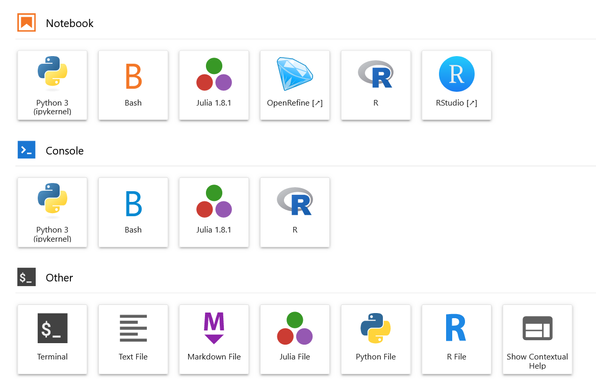 copie d'écran de PAWS, le Jupyter Notebook de Wikimedia