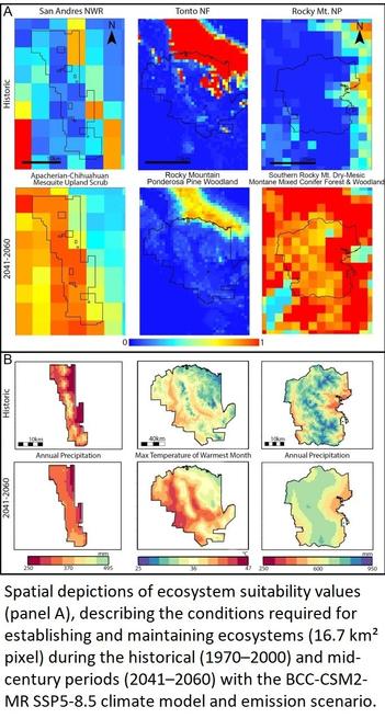 graphic / maps - Spatial depictions of ecosystem suitability values (panel A), describing the conditions required for establishing and maintaining ecosystems (16.7 km2 pixel) during the historical (1970–2000) and mid-century periods (2041–2060) with the BCC-CSM2-MR SSP5-8.5 climate model and emission scenario.