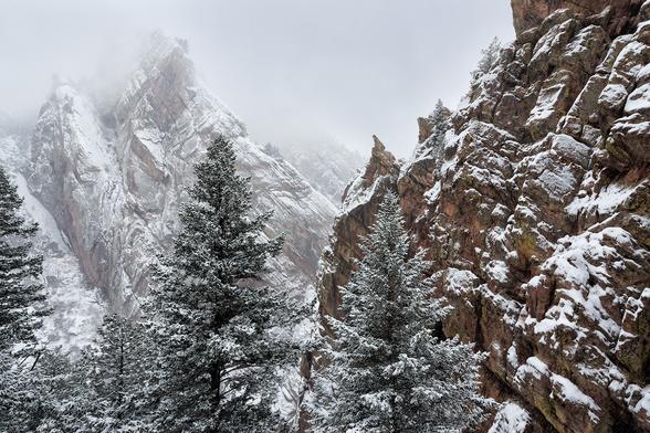 photo - author - snow on trees and rocks
