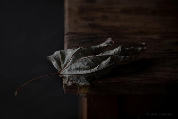 Photography of a single autumn leaf resting softly on the worn wood. Study of light and shadow.