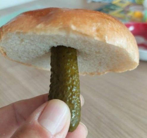 Eine neue Pilzart.

Eine Gewürzgurke mit einem halben Brötchen als Hut.