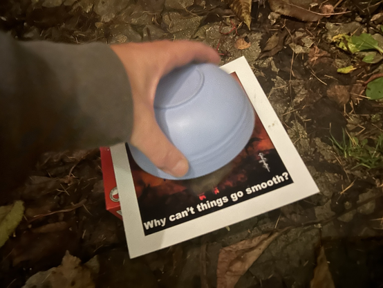 Photo taken after I had carried the mouse outside. He is safely caught between an upturned plastic blue bowl and a bit of cardboars. I have my hand on the bowl and the phone in my other hand, hiping to be able to take a pic of the mouse itself in a  few seconds.