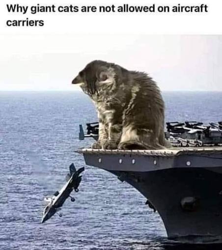 A giant cat on an aircraft carrier, pushing off a plane.