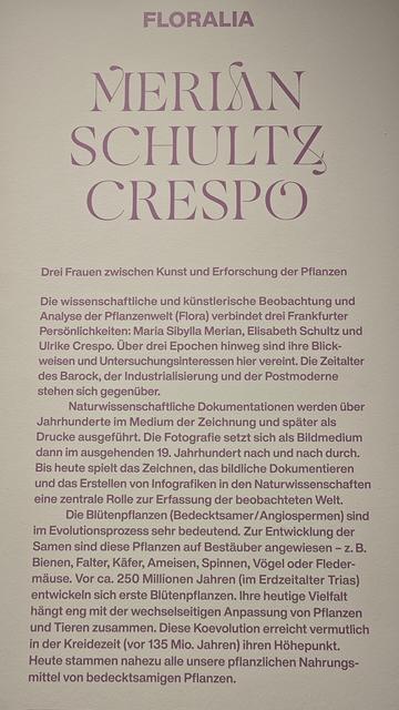 Ausstellungstafel zur Sonderausstellung Merian - Schultz - Crespo