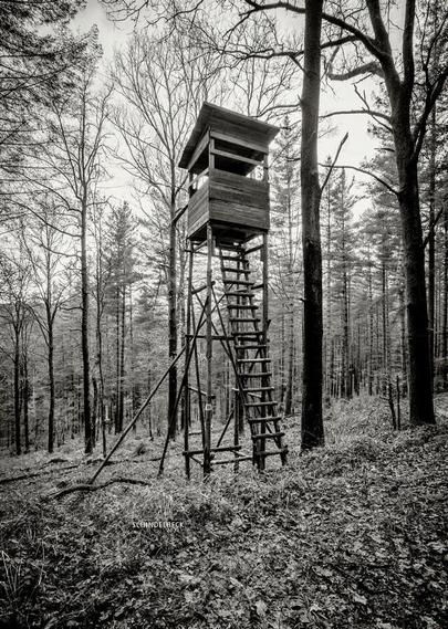 Hochsitz - Schwarzeissfotografie von Frank Schindelbeck