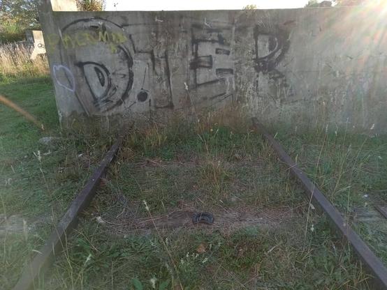 Rails qui aboutissent dans un mur sur lequel est tagué D.TER