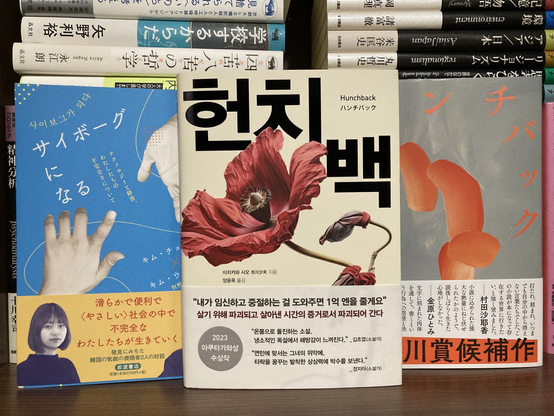 『ハンチバック』の韓国語版　헌치백 이치카와사오 양윤옥 허블