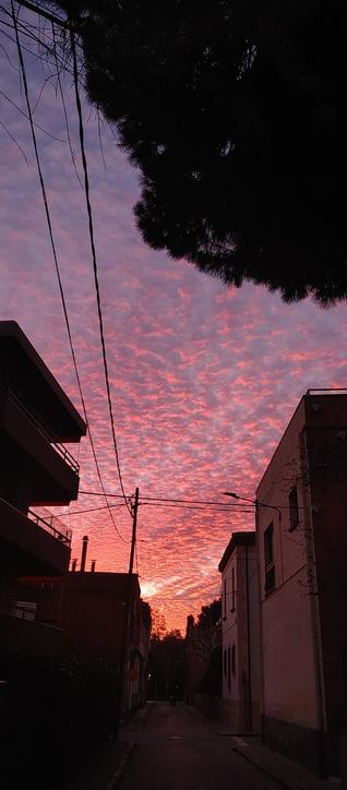 Cel del capvespre tot rosat i taronjós sobre un carrer amb cases baixes i sense cotxes.